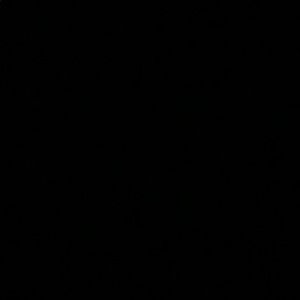 Meet your Posher, Allen